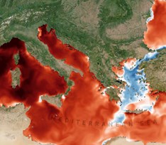 Η επίδραση του Μελτεμιού στο Αιγαίο την ώρα του ευρωπαϊκού θαλάσσιου καύσωνα
